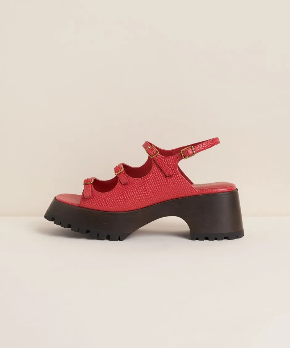Charlotte Stone Ira In Begonia*Women Clogs