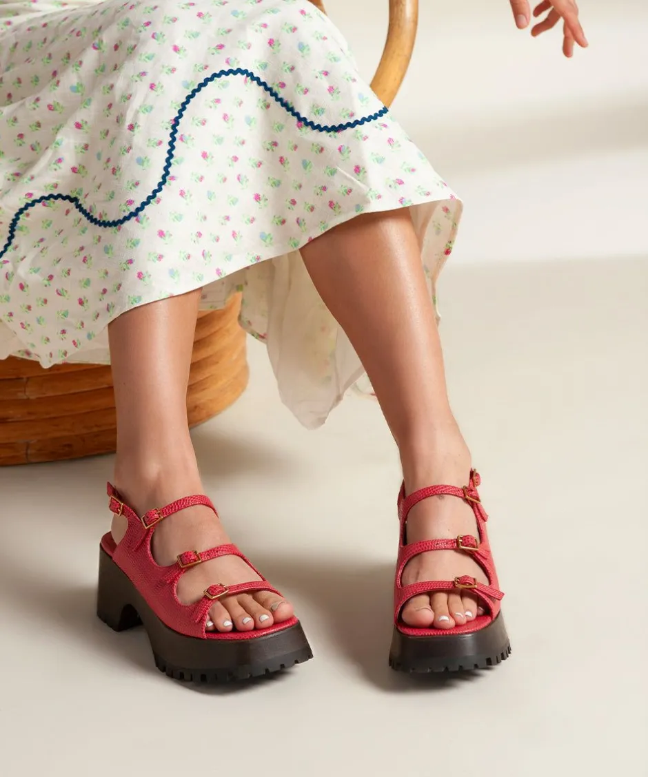 Charlotte Stone Ira In Begonia*Women Clogs